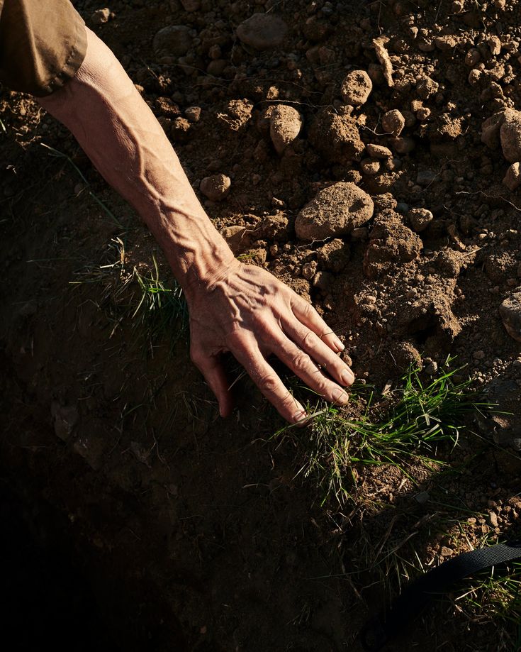 "Close-up of a farmers hand touching green grass patches on dry, rocky farming soil."